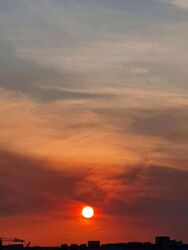 Sunrise Gardens (D28), Condominium #503878921